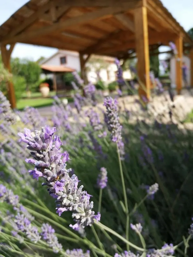Il Podere Di Sole Roccastrada 0*,