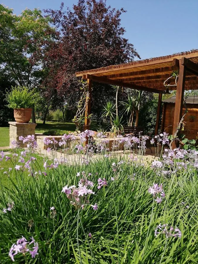 Il Podere Di Sole Roccastrada Farm stay