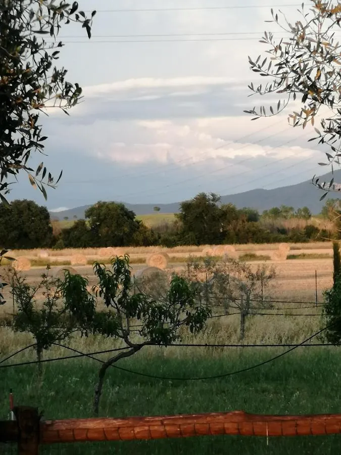 Il Podere Di Sole Roccastrada