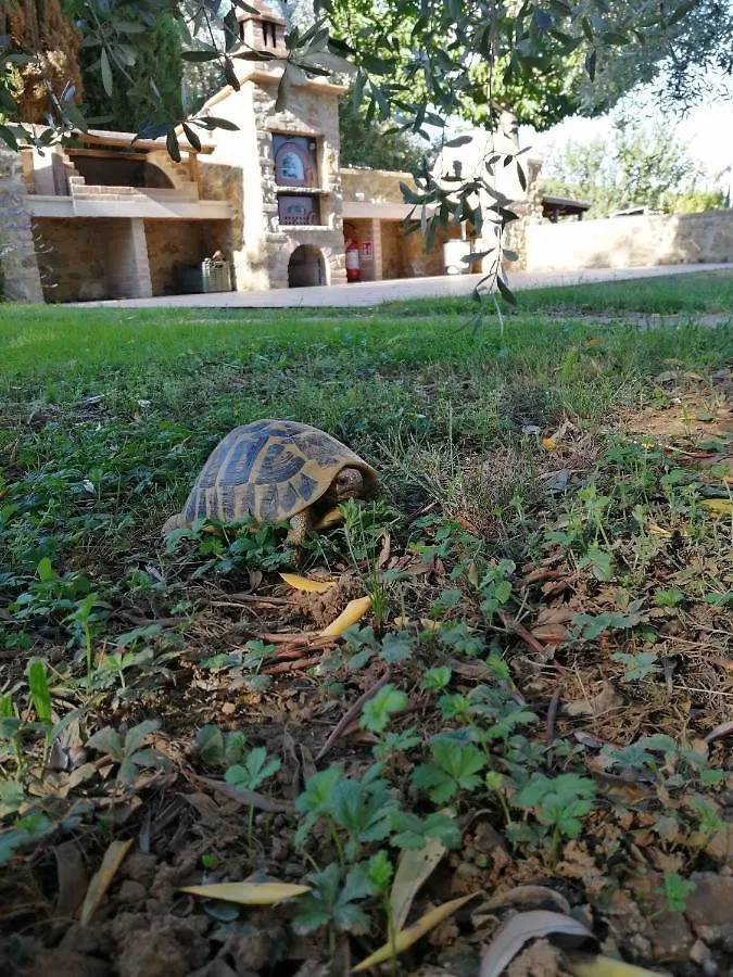 Farm stay Il Podere Di Sole Roccastrada