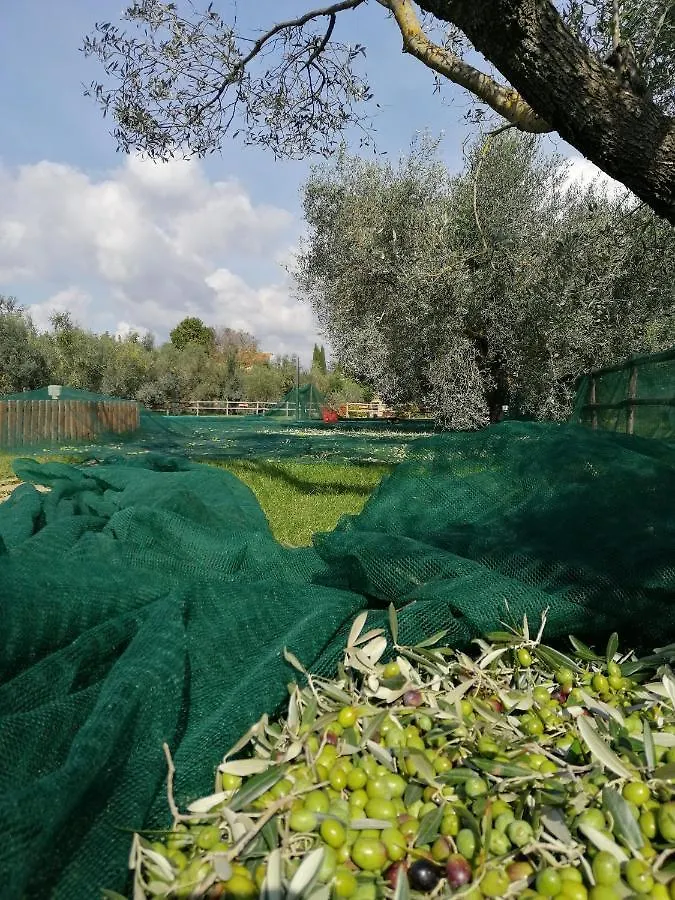 Il Podere Di Sole Roccastrada 0*,  Italy