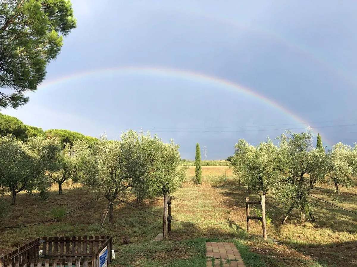 Il Podere Di Sole Roccastrada Farm stay